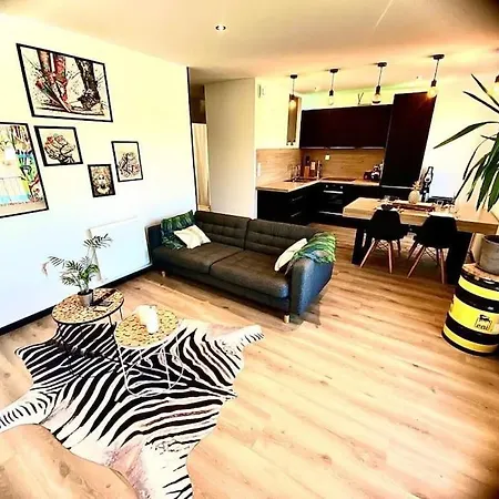 *superbe Moderne* 公寓 *