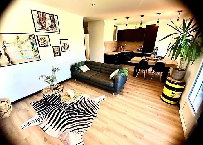 *superbe Moderne* 公寓 *